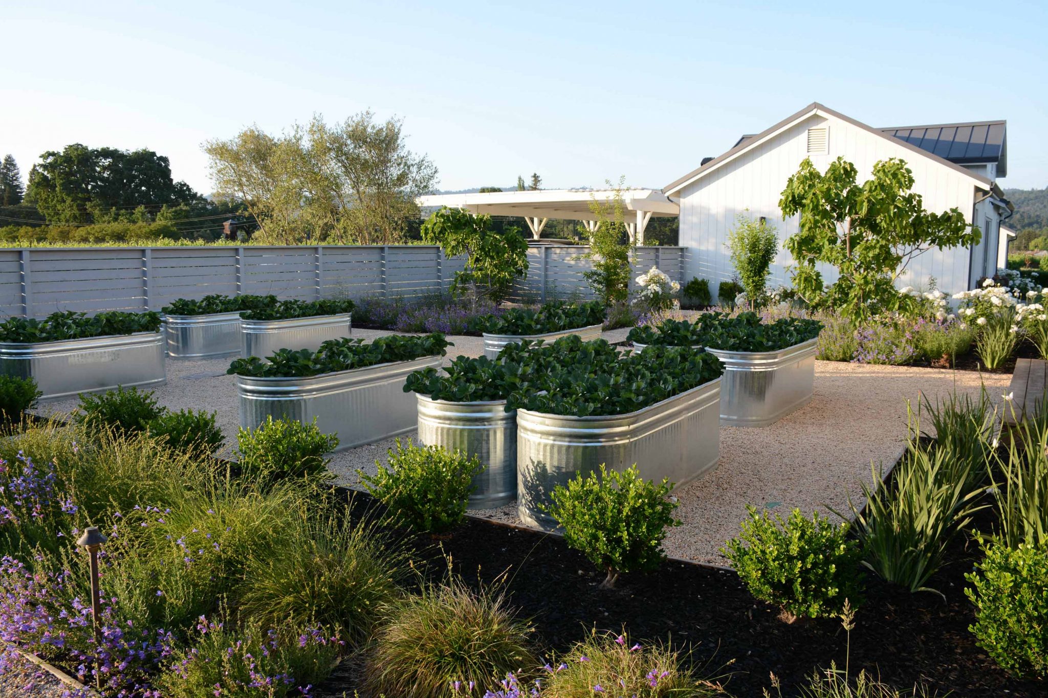 in-the-vineyard-landscape-architecture-garden-design-california-san-francisco-sonoma